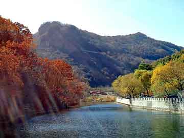 澳门二四六天天免费好材料，佛山到山东物流